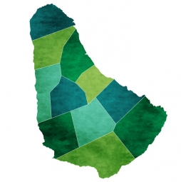  Carte magnétique de la barbade, illustré, vert