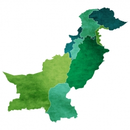  Carte magnétique du Pakistan, illustré, vert