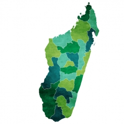  Carte magnétique de Madagascar, illustré, vert