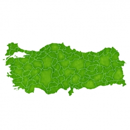  Carte magnétique de la Turquie, illustré, vert