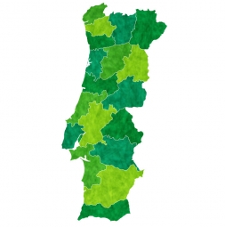  Carte magnétique du Portugal, illustré, vert-jaune