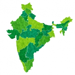  Carte magnétique de l'Inde, illustré, vert-jaune