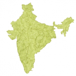  Carte magnétique de l'Inde, illustré, vert
