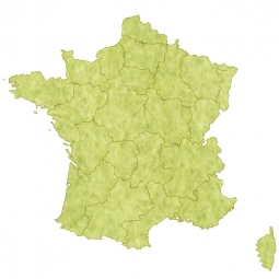  Carte magnétique France, illustré, vert