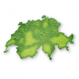  Carte magnétique de la Suisse, illustré, vert
