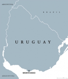  Carte magnétique de l'Uruguay, illustré, gris