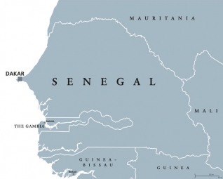 Carte magnétique du Sénégal, illustré, gris