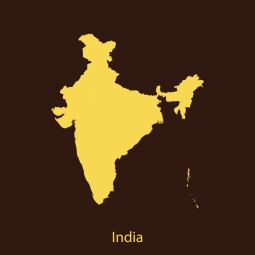 Carte magnétique de l'Inde, illustré, brun-jaune