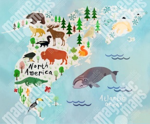  Carte magnétique de l'Amérique du Nord, dessin animé, COLOREE