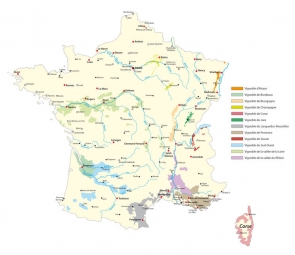  Carte magnétique France, le vin, COLOREE